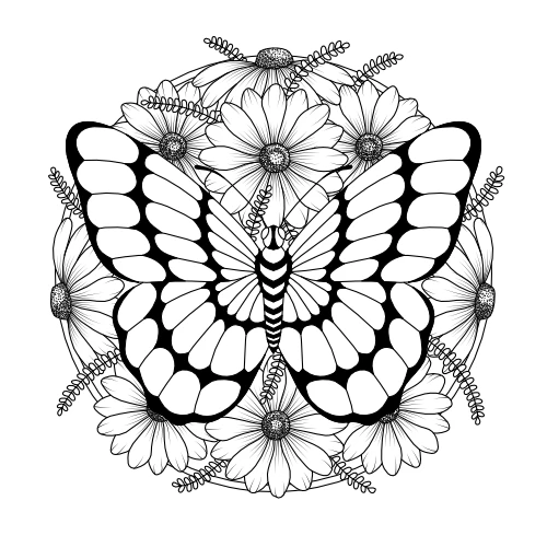 Butterfly coloring page